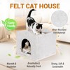 Apasiri Cat House for Indoor Cats: Felt Cat Bed Cave