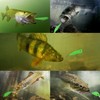 Saltwater Luminous Fishing Lures Night Fishing Bait Kit,5PCS Glow Crank