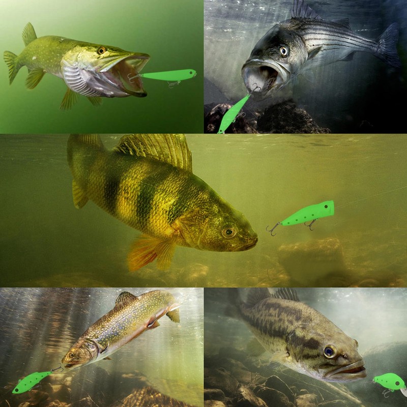 Saltwater Luminous Fishing Lures Night Fishing Bait Kit,5PCS Glow Crank