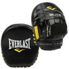 Everlast Elite Mini Meat Fighting Mitts / 엘리트 미니 미트 격투기 타격 미트