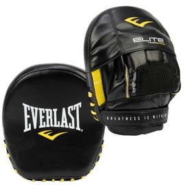 Everlast Elite Mini Meat Fighting Mitts / 엘리트 미니 미트 격투기 타격 미트