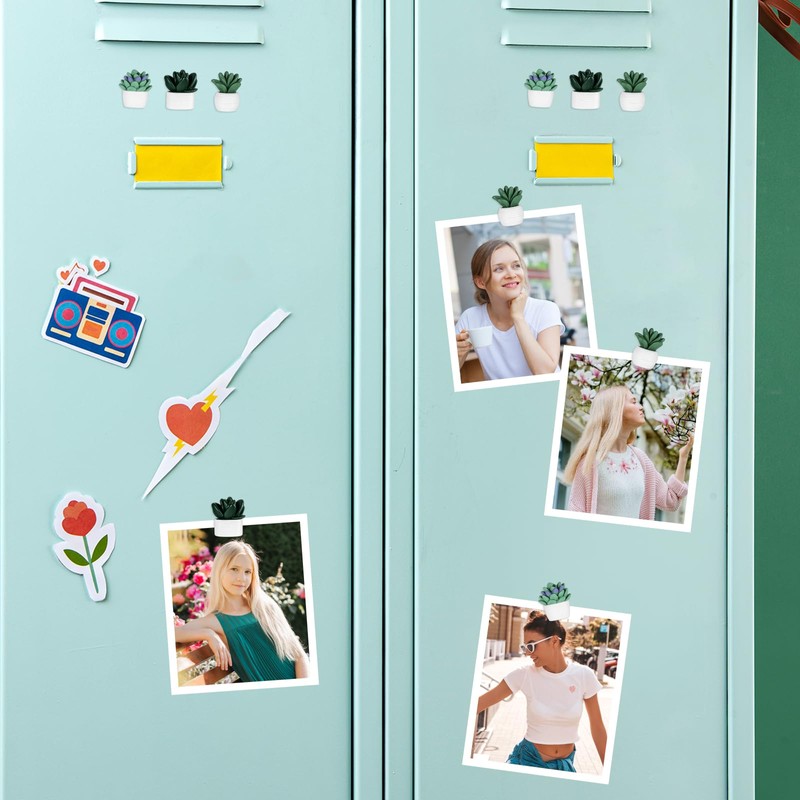 Pack of 12 3D Flowers Cute Fridge Magnets Cactus Magnetic