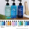 Maruei Nissan [Pecolo Lotion Bottle, Set of 3] Shampoo Bottle,