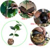 Tree Root Growing Box, Reusable Transparent Plants Asexual Reproduction Grafting