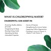Chlorophyll Water® (2 Cases/24 bottles) Nature Enhanced Purified Vitamin Water