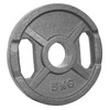 POWER EXTREME Cast Iron Weight Plates with 2 Grip Holes,