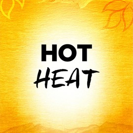 Simply Asia Chili Garlic Noodle Bowl Seasoning Mix, 0.75 oz (Pack of 12)