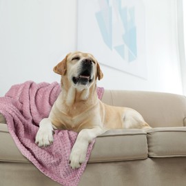 sourcing map Flannel Fleece Bed Blankets, Soft Warm Microfiber Blanket, Mesh Fuzzy Plush 330GSM Lightweight Decorative Solid Blankets for Bed Pink 75 x 100cm