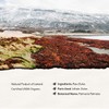 Wildcrafted Icelandic Dulse Flakes by Holistic Bin - Finest Culinary