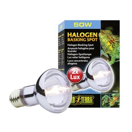Exo Terra Sun Glo Halogen Basking Spot Lamp, Reptile Light Bulb, 50 Watts, PT2181