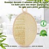 Lumbor37 Esponja Natural de Lufa, Exfoliantes Naturales Puras, Limpieza Profunda