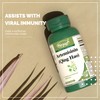 VORST Artemisinin 200mg Per Serving (100mg Per Capsule) 60 Vegan