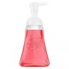 Dial Complete 2 in 1 Moisturizing & Antibacterial Foaming Hand