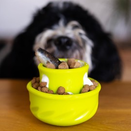 Messy Mutts Totally Pooched Puzzle 'n Play Mushroom (Small) | Interactive Treat Puzzle Toy for Dogs | Durable 3.25”” x 2.5” TPR Dog Toy | Teal