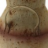 CVHOMEDECO. Galvanized Metal Milk Can, Old Rustic Primitives Jug Vase