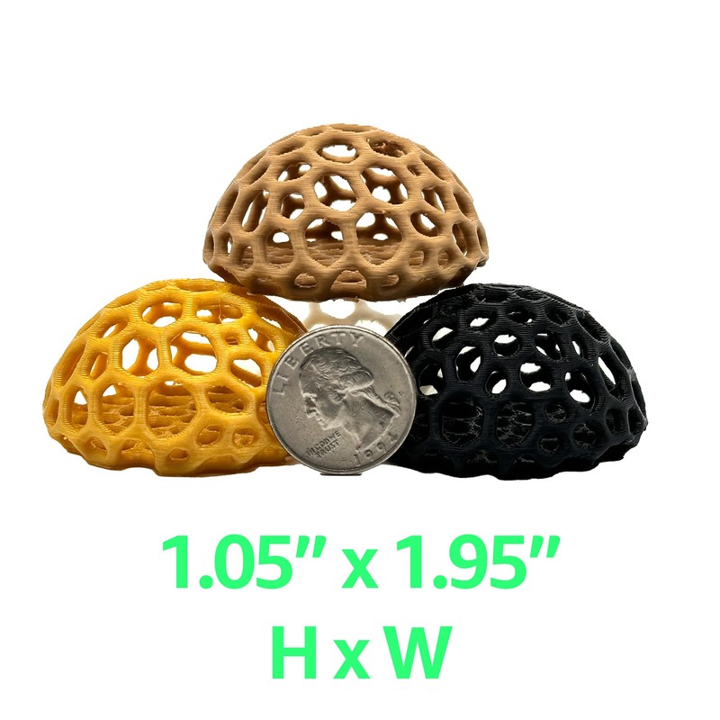 Shrimp Dome Hide - Aquarium Cherry Shrimp Hide - CTWPets