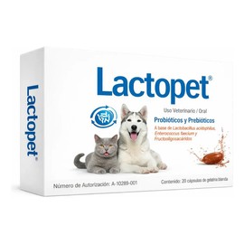 Lactopet Perro Gato Probióticos Prebióticos Lactobacillus