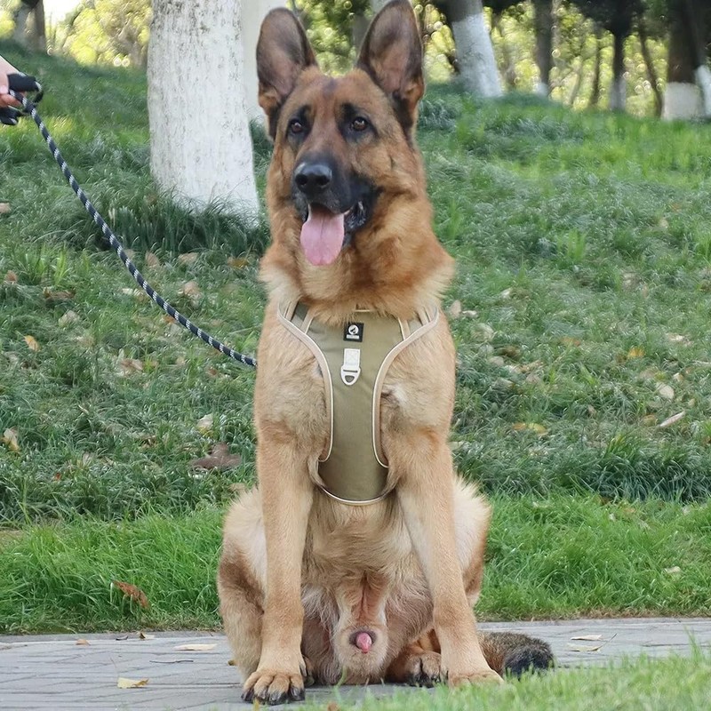 UNA MASCOTA Pechera Arnés De Seguridad para Perro Mediano Y