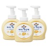 Eye Clean Antibacterial Foam Hand Soap Purely Fluffy Powder Scent, 490ml, 3 Pieces / 아이깨끗해 항균 폼 핸드솝 순 보송보송 파우더향, 490ml, 3개