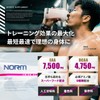 NORM ノーム EAA 7500mg BCAA 4000mg スーパーフード配合 15回分 プロフェッショナル仕様 人工甘味料不使用