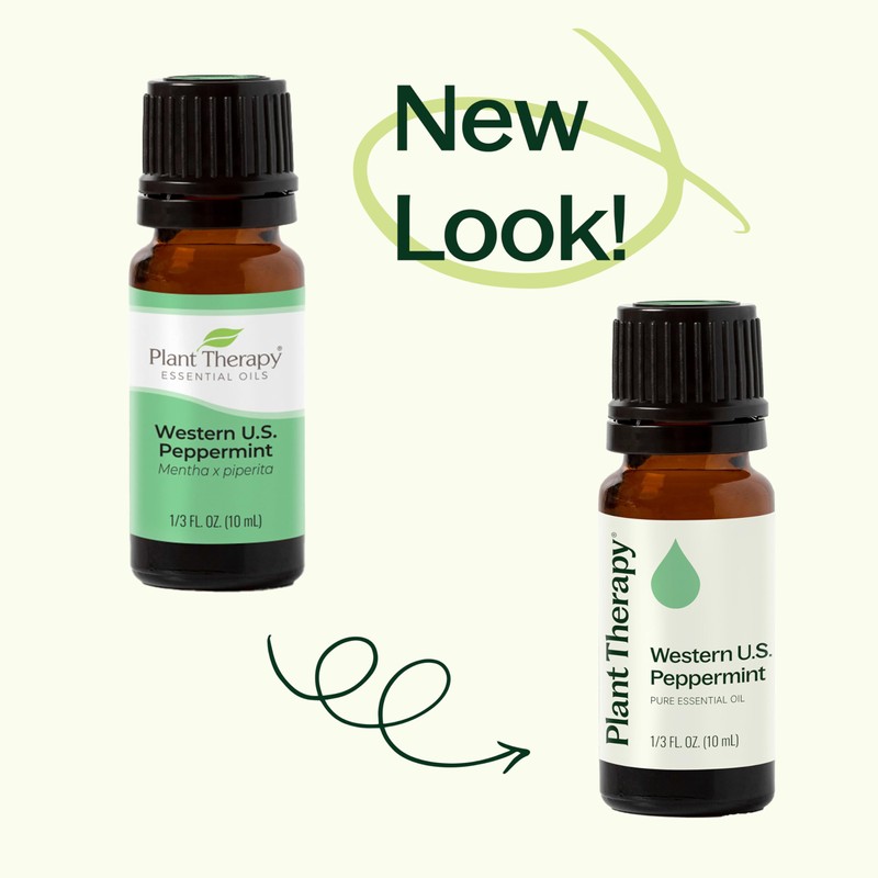 Plant Therapy Peppermint Western U.S. Essential Oil 30 mL (1