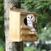 Screech Owl House With Bird Stand - Large Cedar Premium