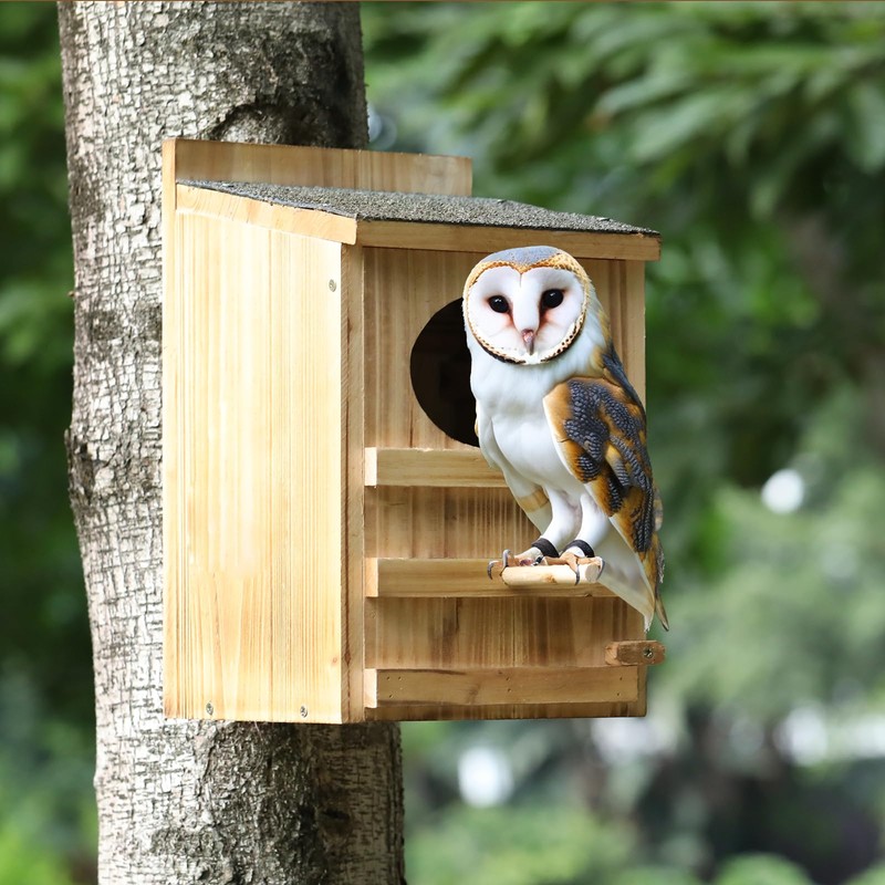 Screech Owl House With Bird Stand - Large Cedar Premium