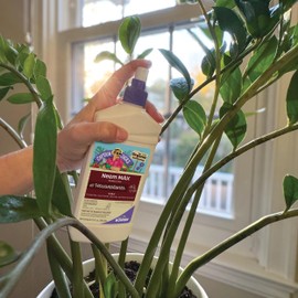 Bonide Bonide Captain Jack's 12 oz Neem Max Ready-to-Use Spray for Houseplants Indoors