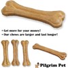 Pilgrim Pet Dog Bones Long Lasting 5-Pack – Natural Compressed