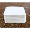 esplanade Disposable Paper Coasters (Set of 100)- Use and Throw