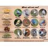 JCs Wildlife Woodpecker Favorite 5lb Loose Seed Bag