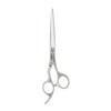 Professional Hair Cutting Scissors Thinning Barber Shears Hairdressing Tool for