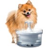 Zeus Fresh & Clear Dog Drinking Fountain with Waterfall Spout