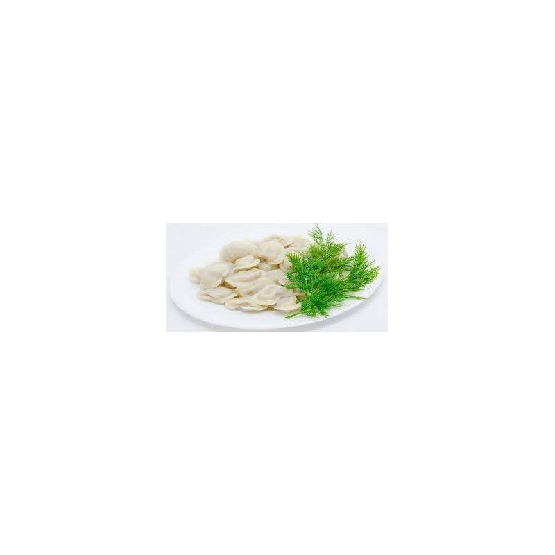 Russian Pelmeni Dumpling Machine Ravioli Plastic Mould Shape for Russian