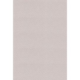Escent 27051501 Colored Drawing Paper, Rib Color, A5, Gray, 100 Sheets