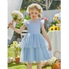 Arshiner Light Blue Toddler Dress Tiered Tulle Easter Party Flower