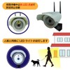 Broadwatch Dummy Security Camera, LED Light, Outdoor, Motion Sensor, Motion