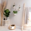 Kazai. Wall Planters -Ellie- | Hanging Ceramic Plant Pots 3