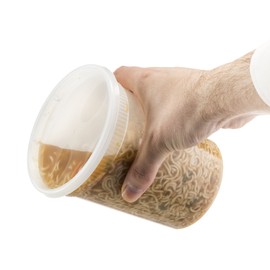 Basix Deli Food Storage Container With Lids 32 Ounce Pack Of 24 Deli Containers