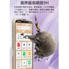 Simple Smartphone 6 Glass Film [2 Pieces] + SHARP Simple
