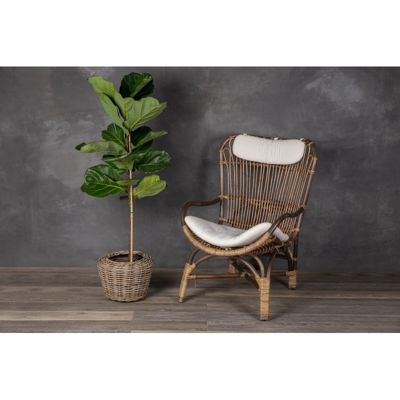 Rattan Kobo Indoor Outdoor Planter Basket with Plastic Pot Medium