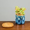 Kingrol 8 Pack Succulent Pots, Mini Ceramic Flower Planter Pot