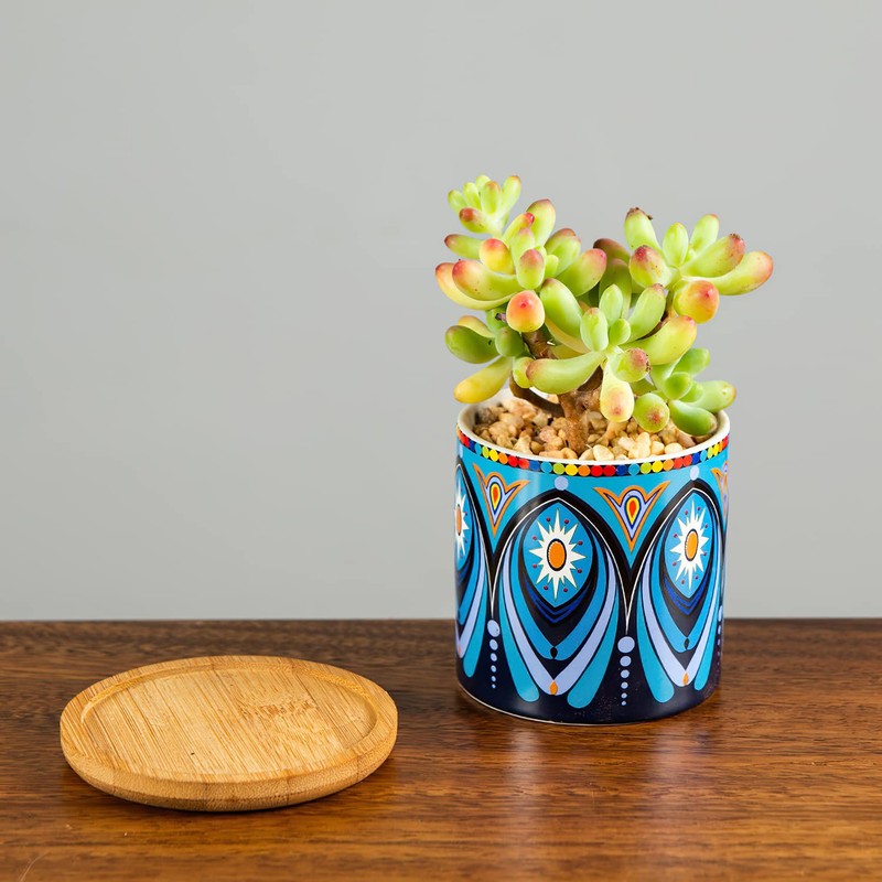 Kingrol 8 Pack Succulent Pots, Mini Ceramic Flower Planter Pot