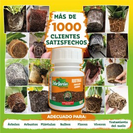 Enraizador Líquido Rootmax 100 Ml Clones Esquejes