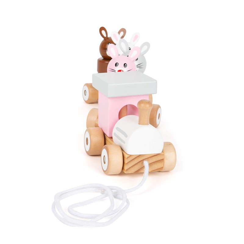Small Foot 11719 Pull-Along Rabbit Family Made of Wood, Plug-in