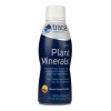 Trace Minerals Plantas-iónica Minerales 17 Oz Mandarina Sabor Sabor Mandarina