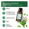 Aceite Esencial De Menta Puro 15ml Para Difusor Y Aroma
