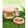 BNOSDM Ceramic Hamster Hideout and Food Bowl Set Cute Mushroom