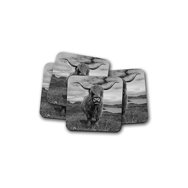 4 Set - Scottish Highland Cows Coaster - Wild Cattle
