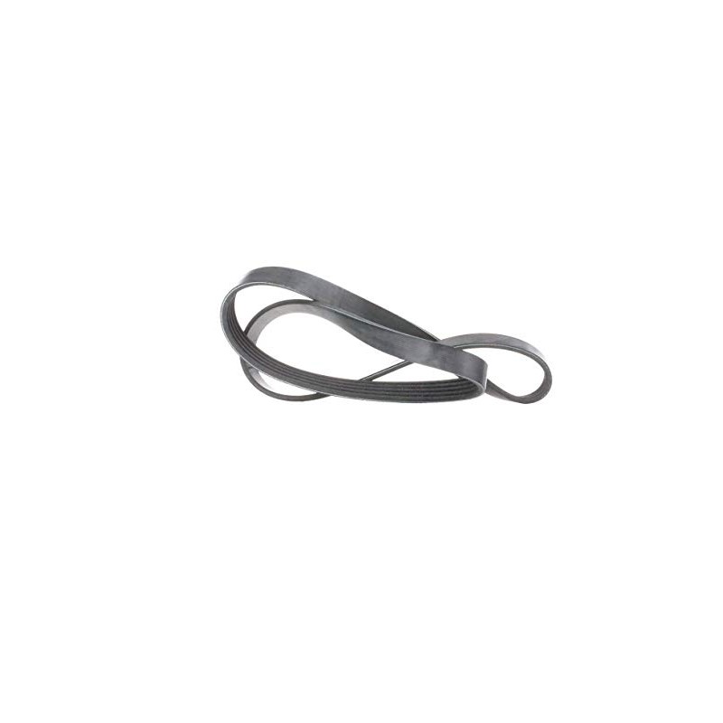 febi bilstein 28847 V-Ribbed Belt, Number of Ribs 5, Pack
